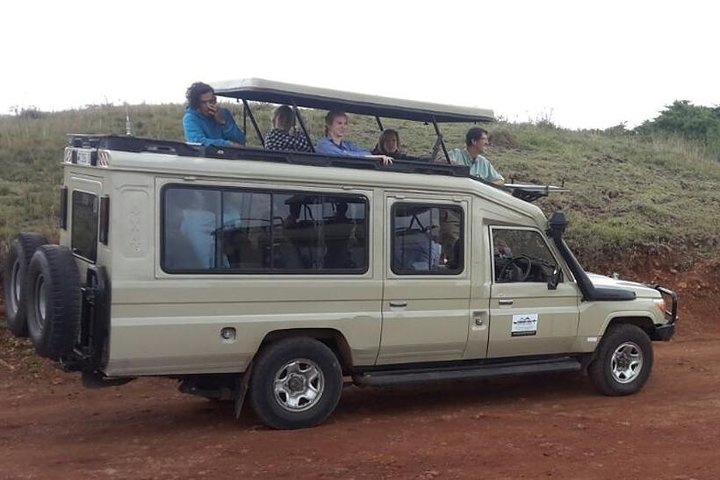 Mikumi National Park Tour