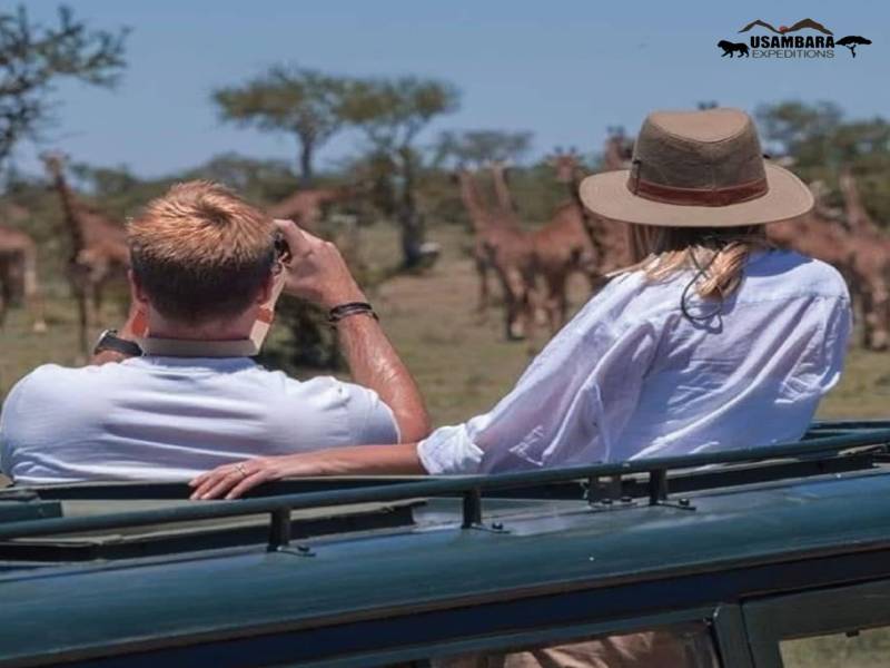 Mikumi National Park Tour