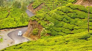 Munnar - Alappuzha And Kochi Tour 5 Nights - 6 Days