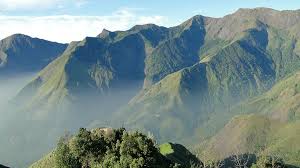 Munnar And Alappuzha Tour 4 Nights - 5 Days