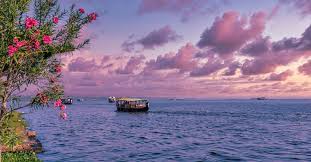 Munnar And Alappuzha Tour 4 Nights - 5 Days