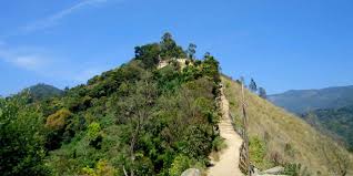 Munnar And Alappuzha Tour 4 Nights - 5 Days