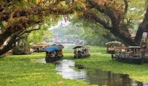 Munnar Hill Station Tour 2 Nights - 3 Days