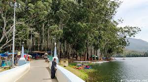 Munnar - Alappuzha And Kochi Tour 5 Nights - 6 Days