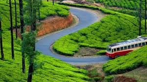 Munnar - Alappuzha And Kochi Tour 5 Nights - 6 Days