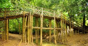 Wayanad And Coorg Adventure 4 Nights - 5 Days Tour