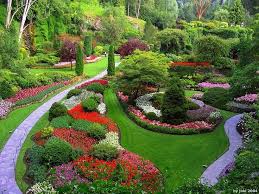Wayanad and Ooty Tour 3 Nights - 4 Days Image