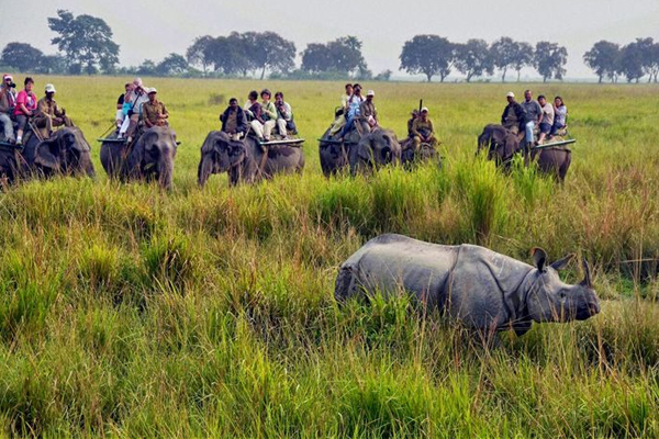 Dooars Itinerary Hasimara - Jaldapara - Buxa - Hasimara 3N 4D Tour