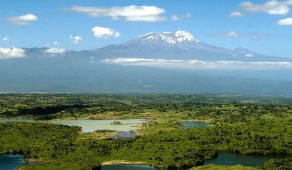 1 Day Arusha National Park Trip