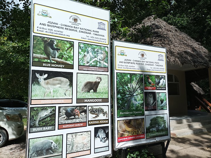 Jozani National Saalam Cave And Mtende Beach Day Tour