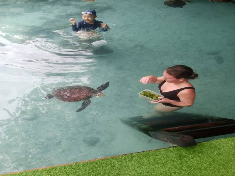 Jozani National Saalam Cave and Mtende Beach Day Tour