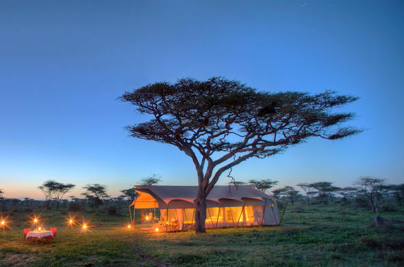7 Days Tanzania Safari tour