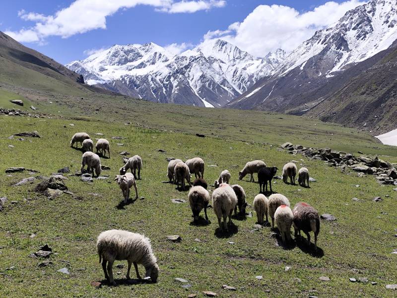 Pin Bhaba Pass Trek | 7 Days 6 Nights | Hit the Himalayas