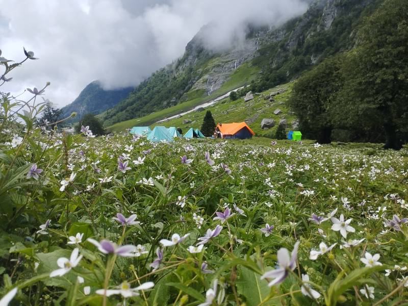 Pin Bhaba Pass Trek | 7 Days 6 Nights | Hit the Himalayas