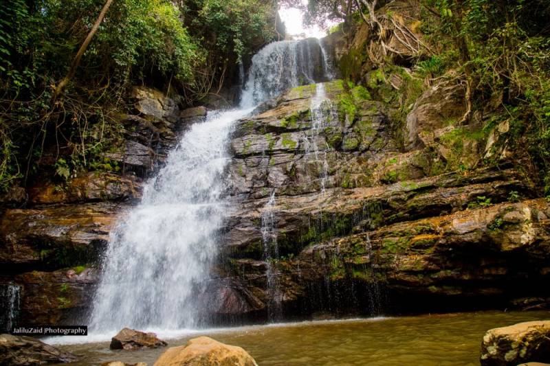 3 Days 2 Nights to Mikumi&uluguru Mountains Parks