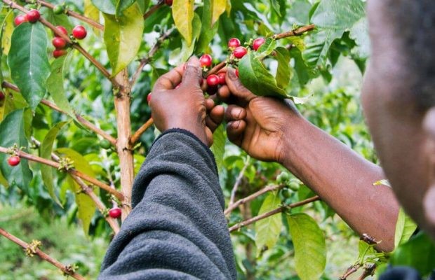 6-Day Prodigious Cultural Tour in Tanzania