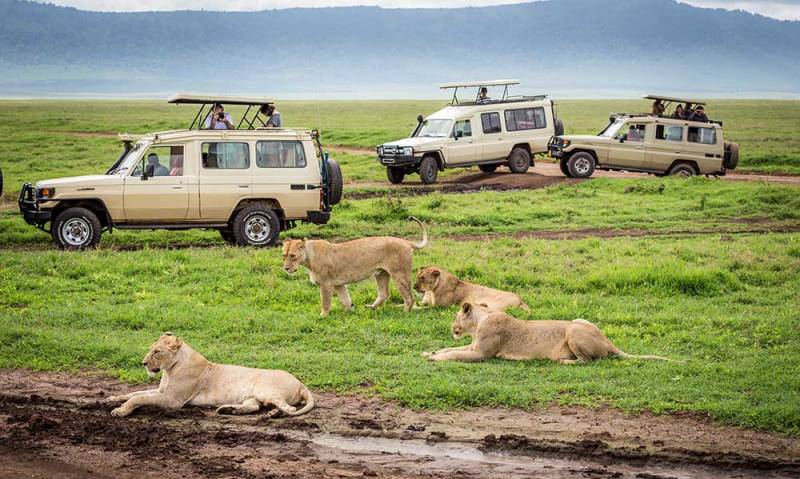 6-Day Prodigious Cultural Tour in Tanzania