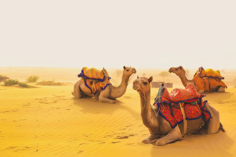 2 Nights 3 Days Jaisalmer Tour Package for Couple