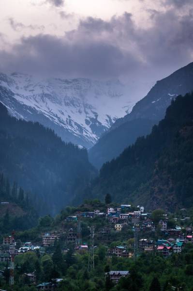Manali Delight Tour Package – 3 Nights / 4 Days Image