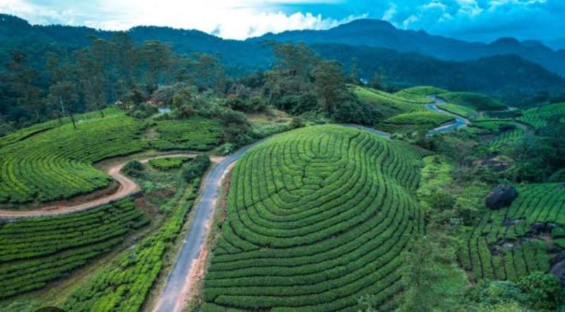 4N5D Kerala Package