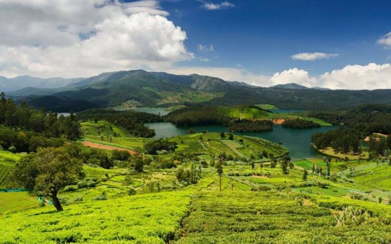 Ooty 5D - 4N Tour Package