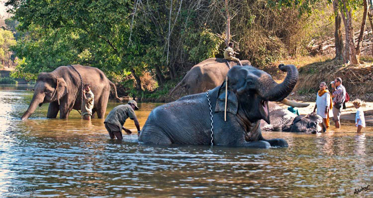 Karnataka Heritage - Hill Tour 6D - 5N Image