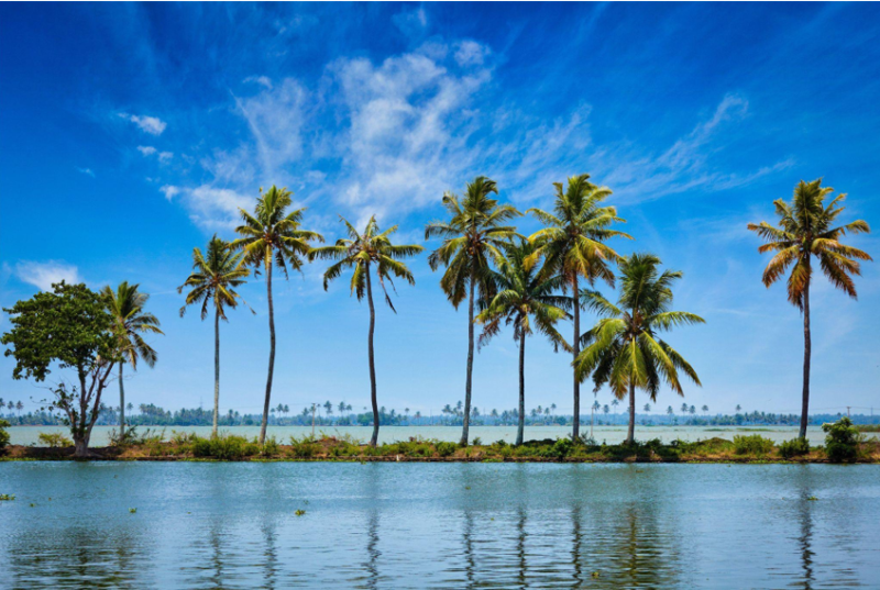 Getaway To Kerala 5 Night - 6 Days Tour Image