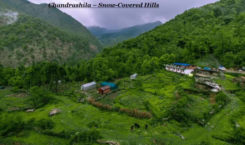 6N 7D Haridwar - Rishikesh - Chopta - Auli Tour