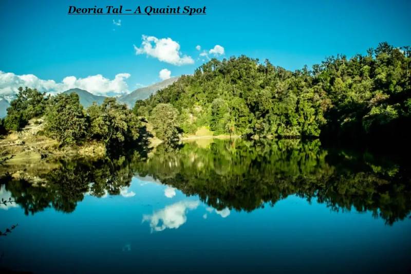 4 Night - 5 Days Chopta And Auli Tour Package