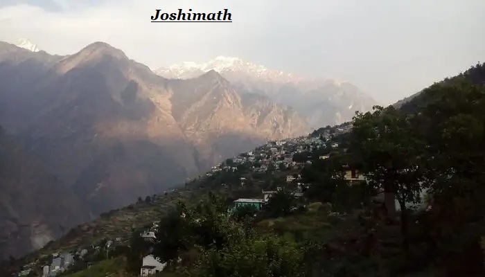 4 Night - 5 Days Chopta And Auli Tour Package