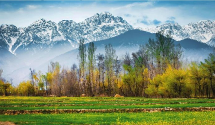 Jammu - Srinagar Tour Package 6N - 7D