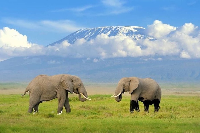 5N - 6D Mount Kilimanjaro - Marangu Route Tour