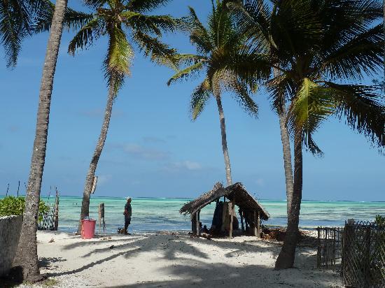 9N - 10D Zanzibar Island Tour