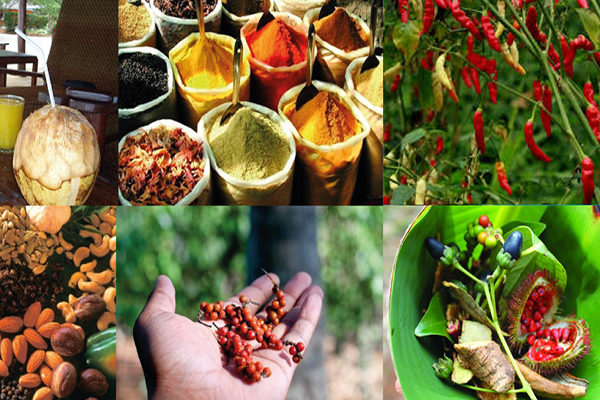 9N - 10D Zanzibar Island Tour