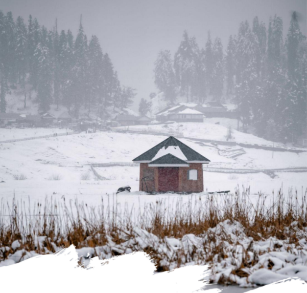 Kashmir Tour 5 Nights 6 Days Image