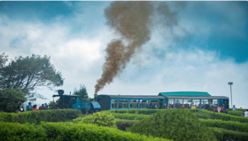 Darjeeling 2N - 3D Tour Package Image