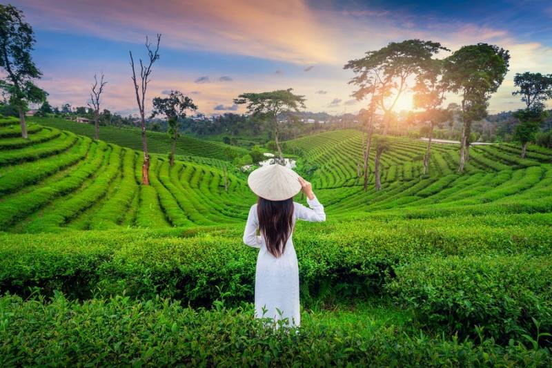Stunning Vietnam Tour 10 Night