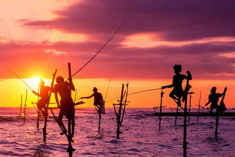 11 Days Discover - Thrill Sri Lanka Tour Image