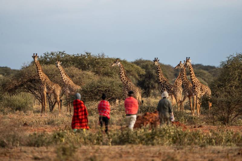 6-Day Kenya & Tanzania Big 5 Tracking Safari