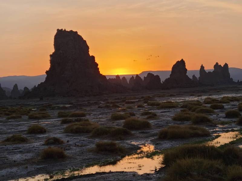 2-Day  Djibouti Tour: Lake Abbe and Lake Assal