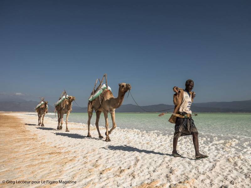 2-Day  Djibouti Tour: Lake Abbe and Lake Assal