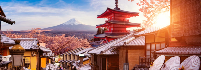 Cherry Blossom Japan 8 Days Tour