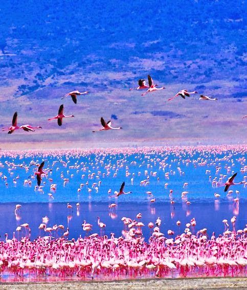 2 Days Nairobi - Nakuru