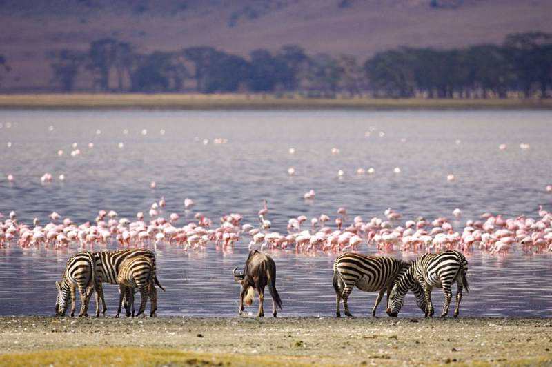2 Days Nairobi - Nakuru Image