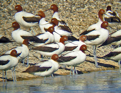 2 Days Nairobi - Nakuru