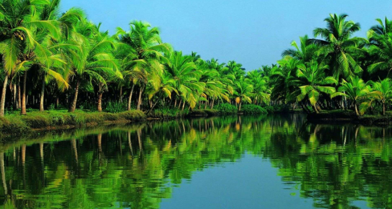 7 Night - 8 Days Discover Kerala's Beauty Tour