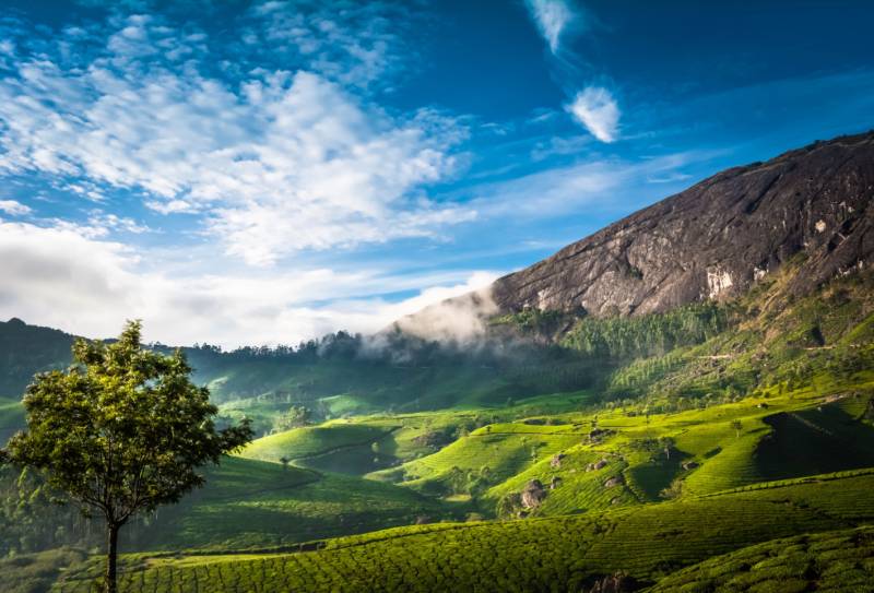 Colourful Kerala 5 Nights - 6 Days Tour Image