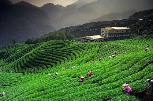 Wonders Of Sikkim 6 Nights - 7 Days Tour Image