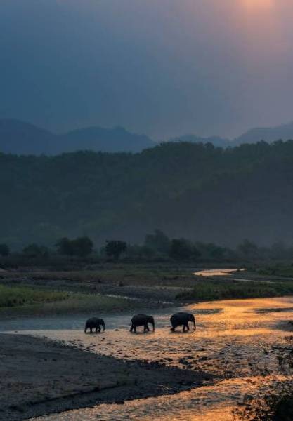 02 Nights / 03 Days Jim Corbett Tour