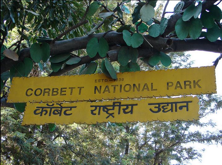 02 Nights / 03 Days Jim Corbett Tour